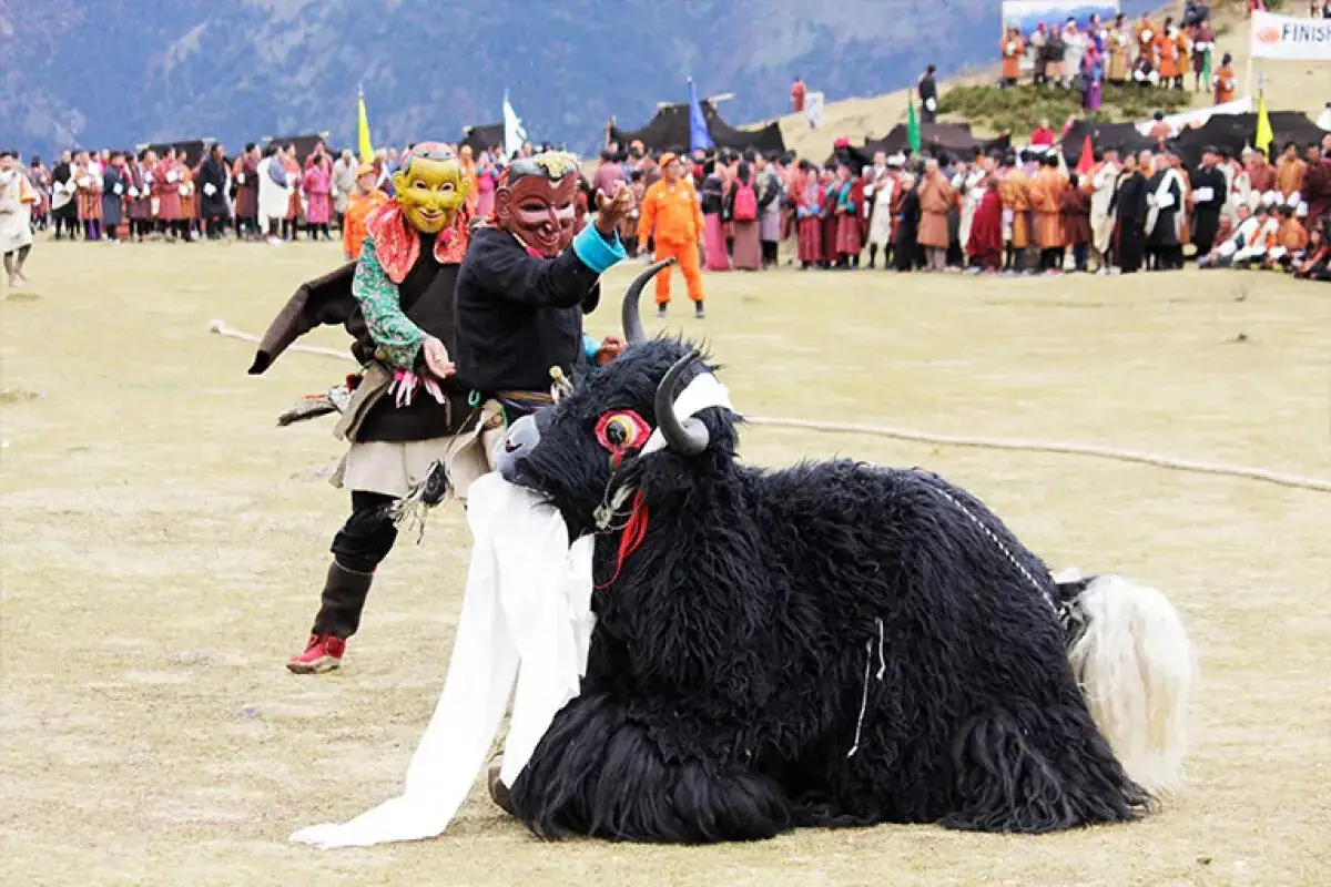 Cultural Exploration of Gasa