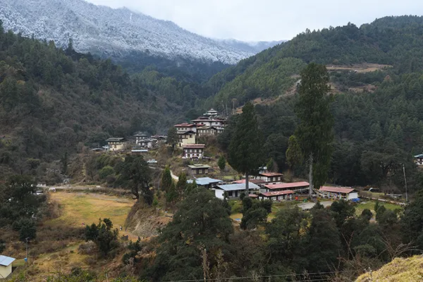 Why a 5 Day Bhutan Heritage Tour Is the Perfect Introduction to Bhutan Cultural Treasures