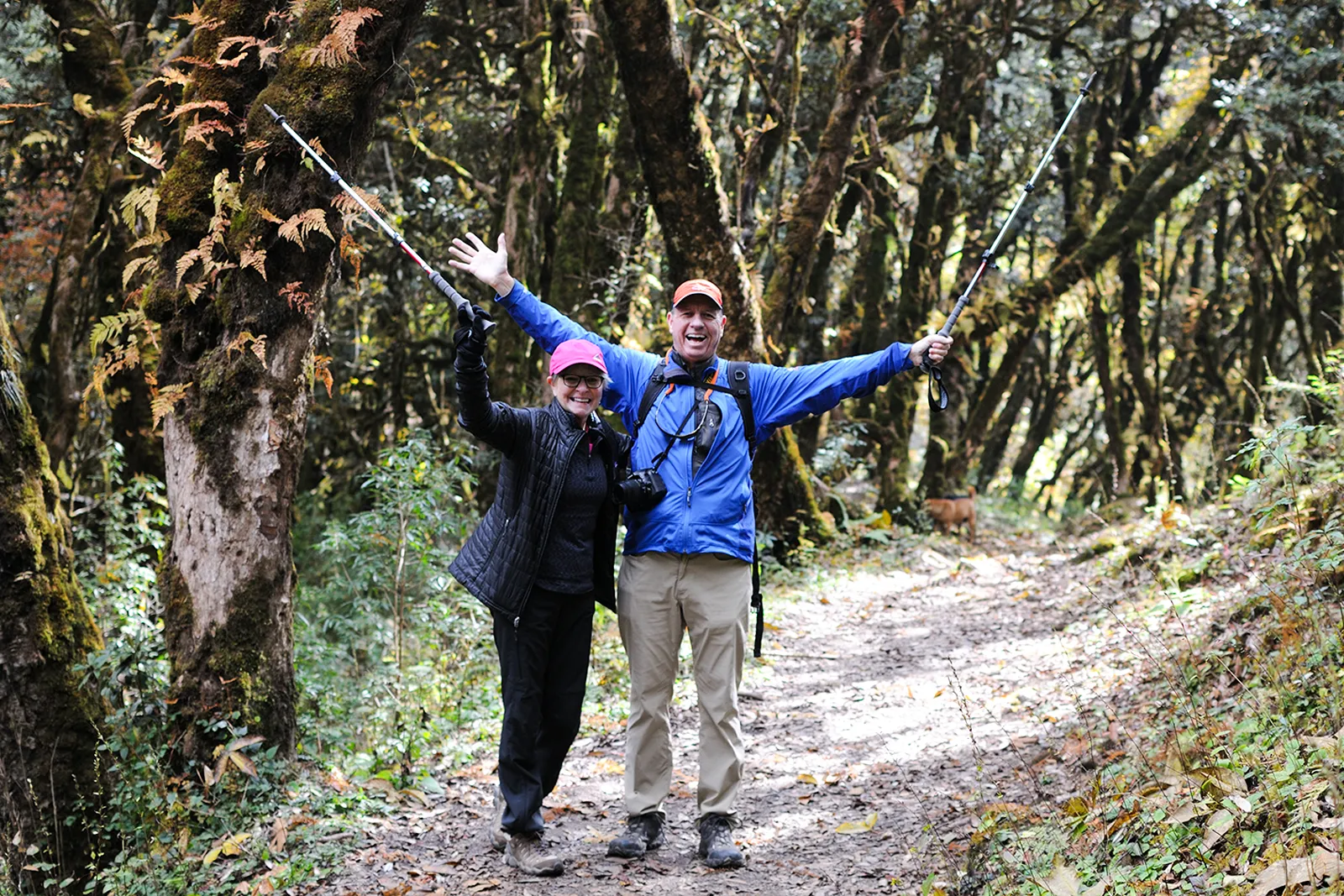 Experience the Druk Path Trek - Bhutan's Classic Adventure