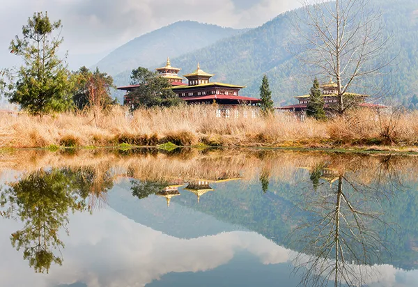 Why a 5 Day Punakha Valley Tour Is Perfect for Exploring Bhutan’s Cultural Heritage