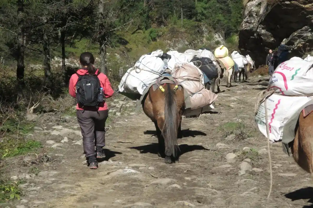 Gasa to Punakha Trek